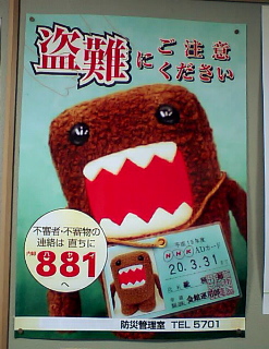 070623_domo2.jpg