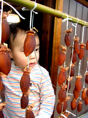 091210_kaki.jpg
