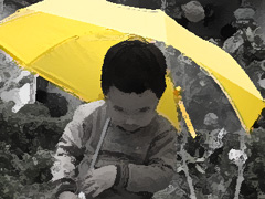 1006_rain.jpg