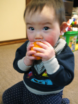 120118mikan1.jpg