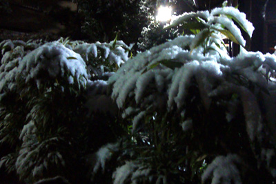 雪