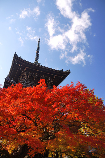 真如堂の紅葉