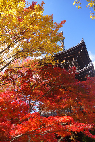 真如堂の紅葉
