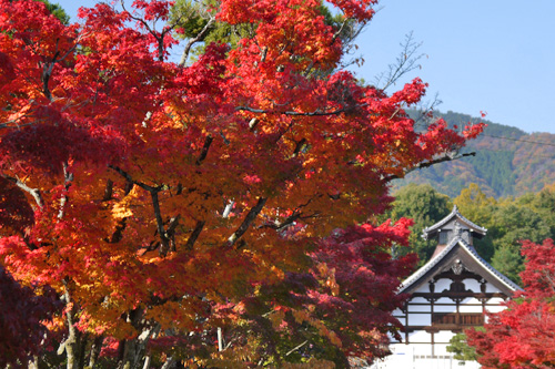 天龍寺