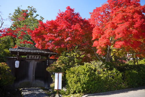 妙智院