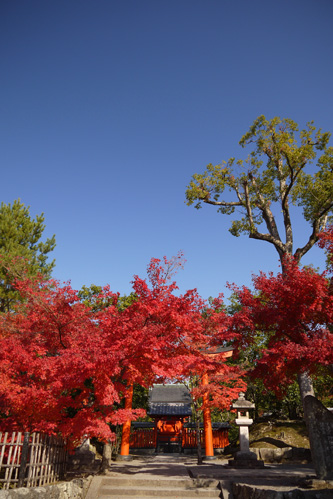 天龍寺