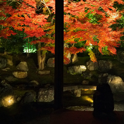 京都の紅葉