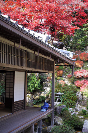 京都の紅葉
