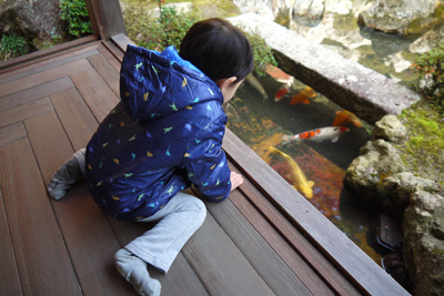 京都の紅葉