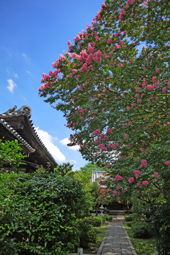 養源院