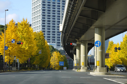 141130nezumi1.jpg