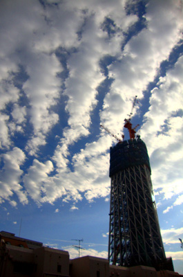 091101_skytree.jpg