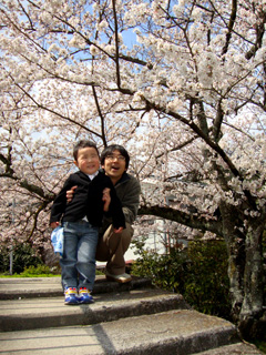 sakura_oyako.jpg
