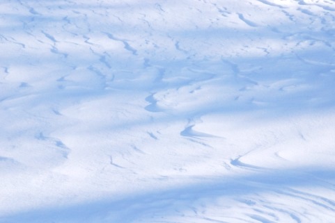 雪